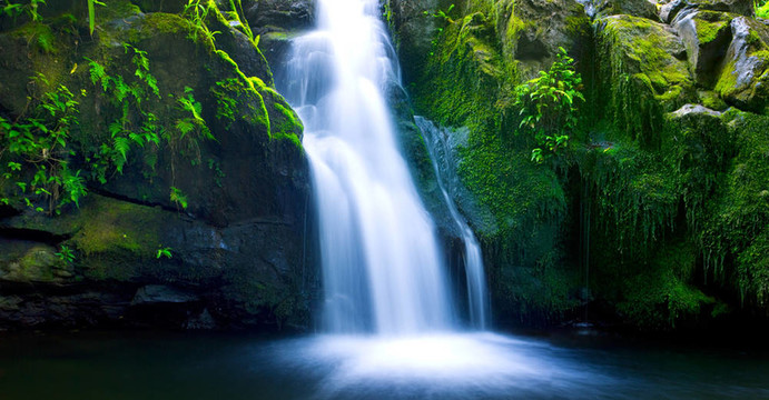美麗的Lush Waterfall