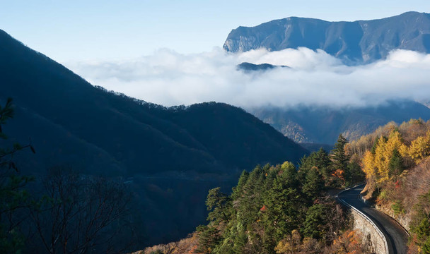 山峰。樹。云