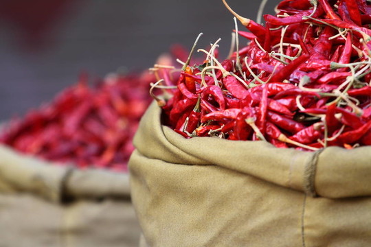 红辣椒粉在传统的菜市场，印度。