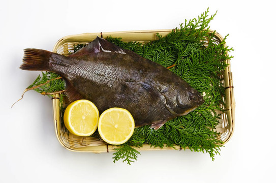 比目魚(yú)