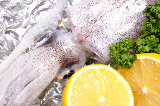 柔魚