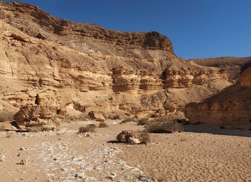 沙漠峽谷墻