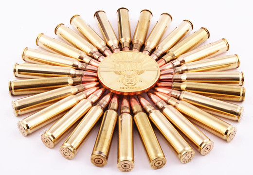 5.56mm墨盒