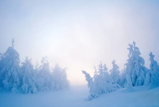 暮雪