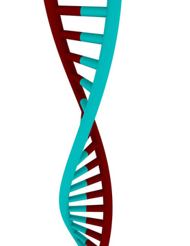 DNA鏈的三維渲染