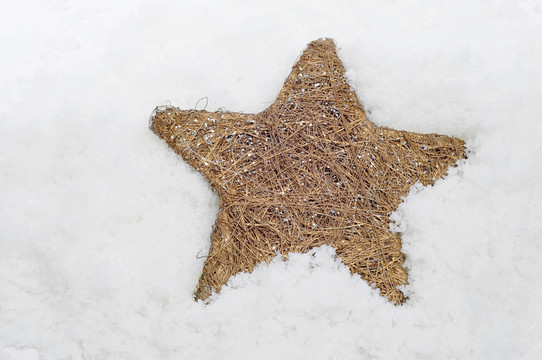 雪上的圣誕星