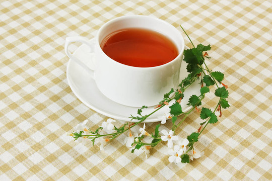 草藥茶