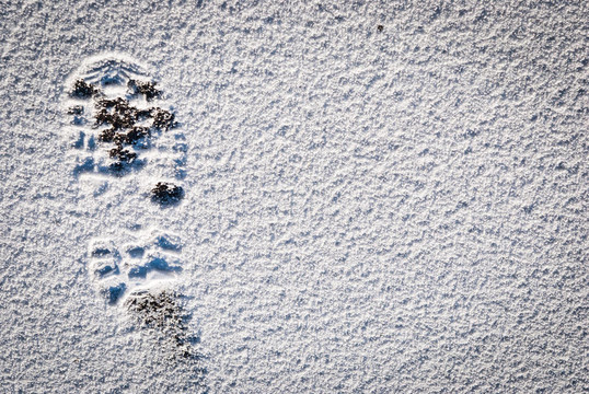 雪地腳印背景