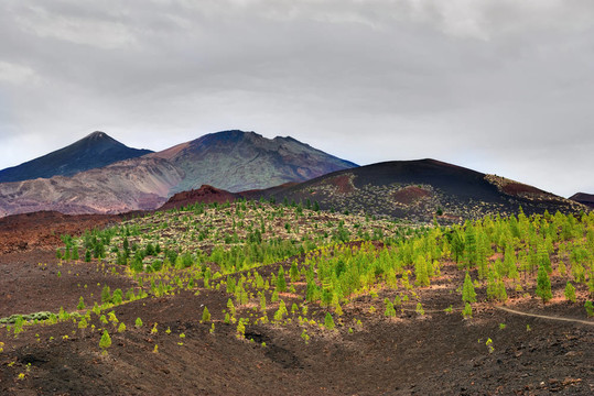 薩爾瓦多泰德火山；特內(nèi)里費(fèi)；西班牙加那利群島