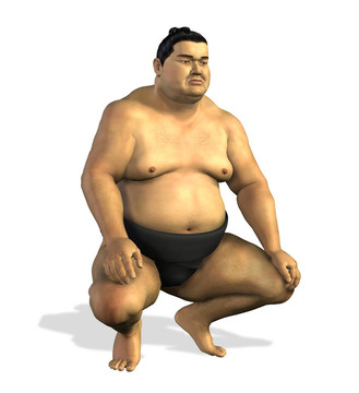 相撲手2