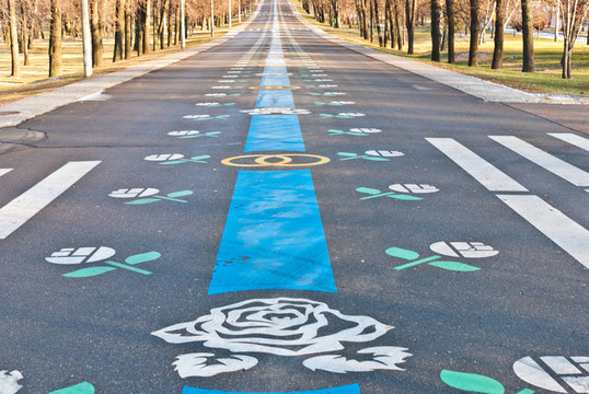 莫斯科冬季道路；俄羅斯