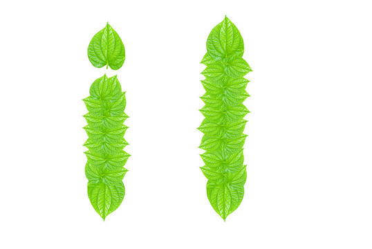 英語(yǔ)字母表由綠色的樹(shù)葉