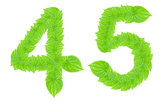 數(shù)字符號(hào)由綠色的樹葉