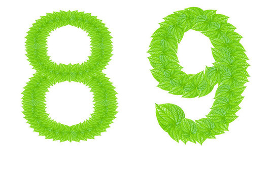 數(shù)字符號由綠色的樹葉