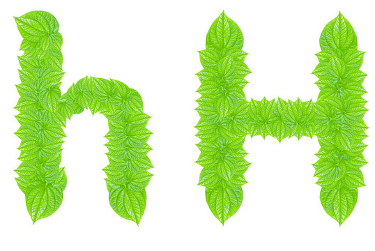 英語字母表由綠色的樹葉