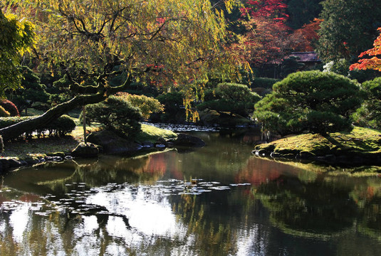 植物園26
