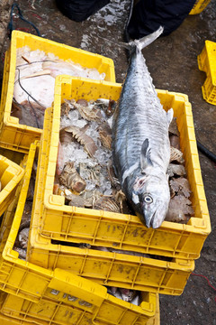 魚市場