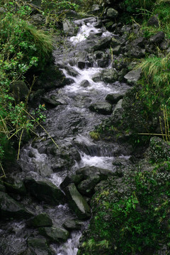 潺潺流水