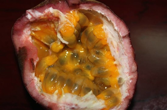 maracuya