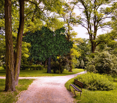 公園路