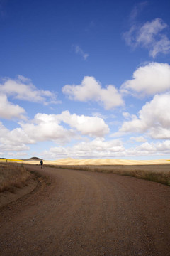 農(nóng)村公路