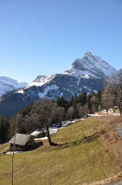 春天在Braunwald；瑞士著名的滑雪勝地
