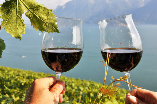 雙手拿著wineglases對Lavaux地區(qū)的葡萄園；瑞士
