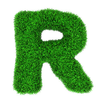 草字母R