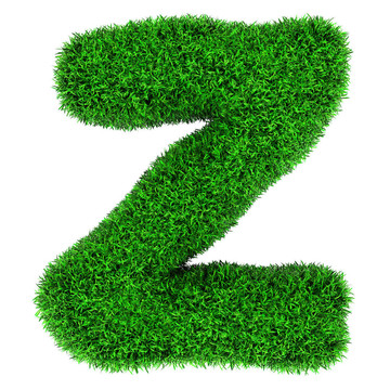 草字母Z