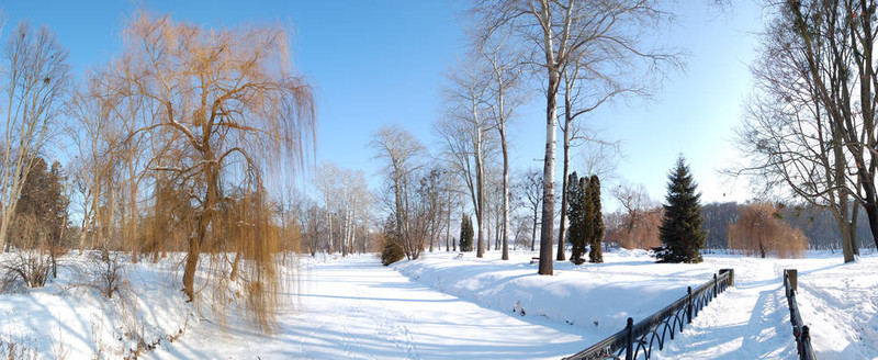 樹(shù)木和河流覆蓋著雪的亞歷山德里亞公園全景；Bila Tserkva；烏克蘭