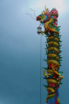 龍