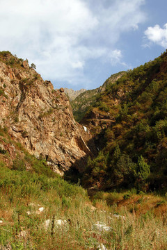 美麗的山地與綠草和其他植被