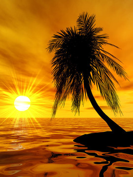 單掌上無人島上的夕陽燦爛