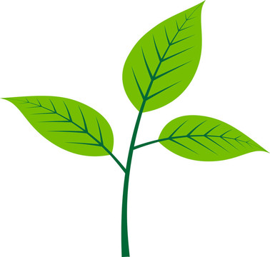 向量分