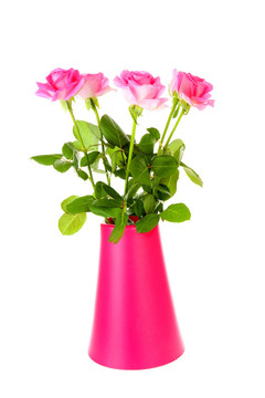 粉红花瓶中的玫瑰花