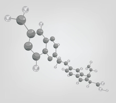 大分子