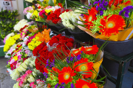 花側(cè)視圖