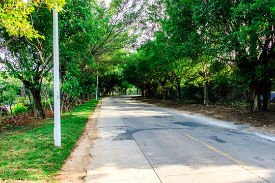 休閑小路 公園 小路 綠化 綠