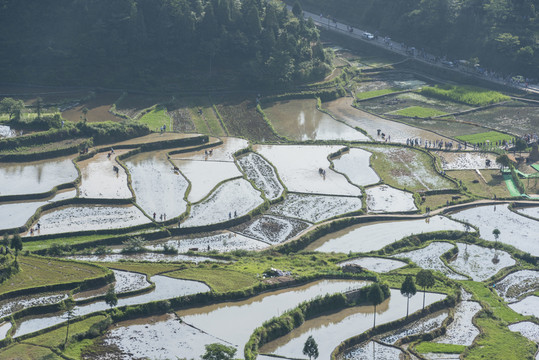 梯田