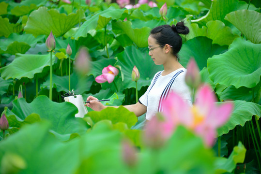 美女寫生荷花