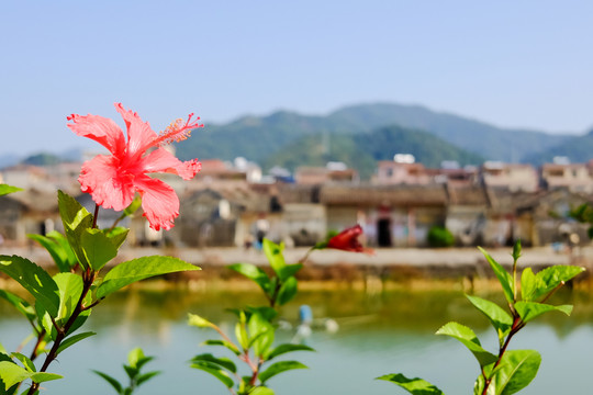 古村落美景