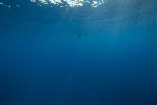 潛水員和海洋