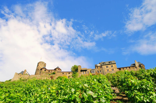 Castle Thurant 02