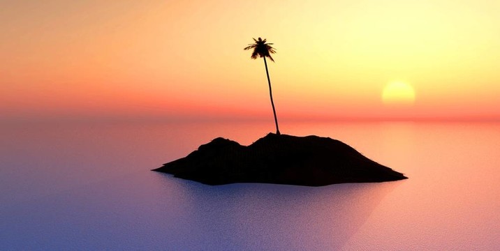 日落時島上的椰子樹