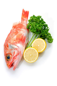 鱸魚