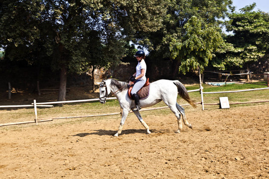 女骑手在骑马过程中训练马