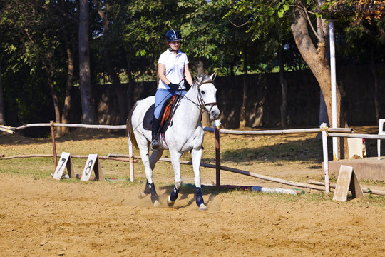 女骑手在骑马过程中训练马