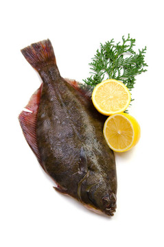比目魚