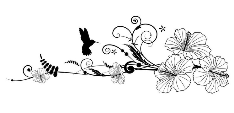 芙蓉和蜂鳥