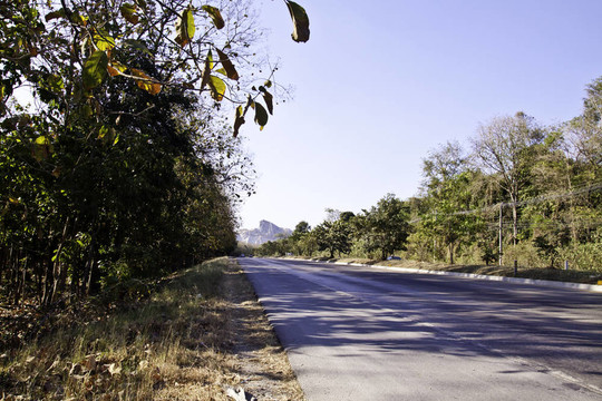 新鮮的走道